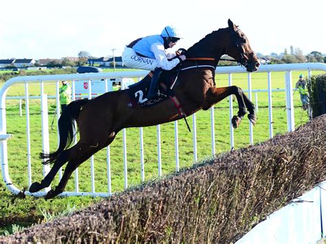 Ladbrokes Trophy: Runner.
